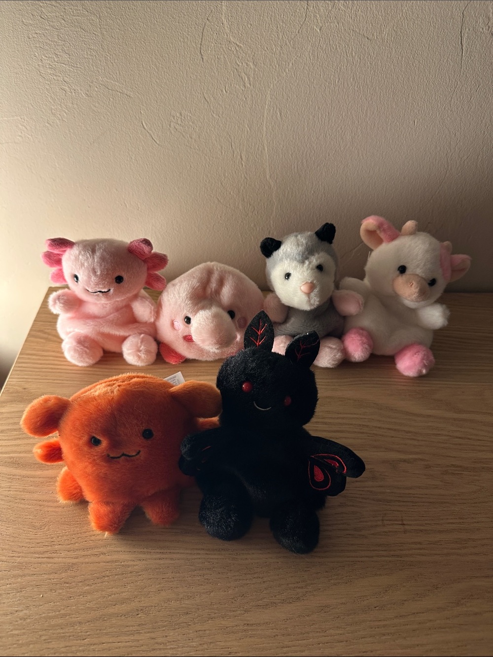 bundle of six palm pals